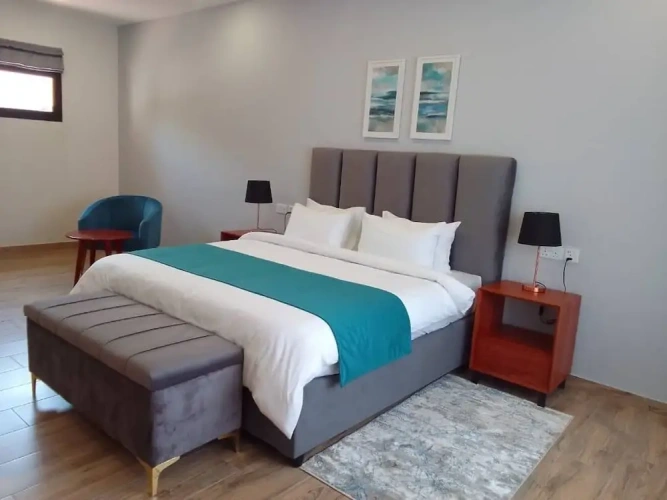 1 Bedroom Superior Apartment