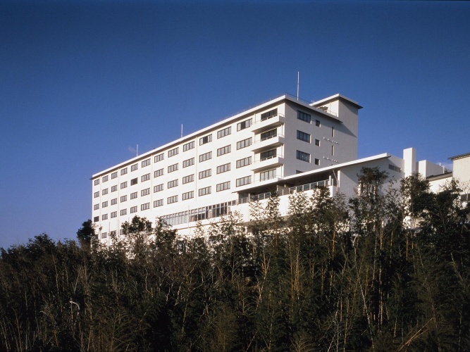 Standard Twin room with view