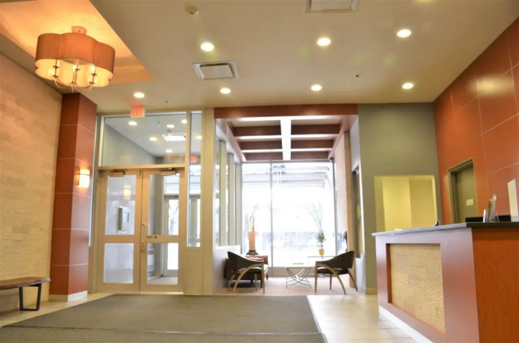 Suite Digs Alura