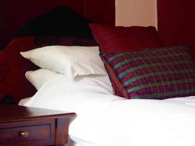 Standard Twin room with garden view