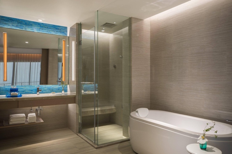 1 Bedroom Double Suite with balcony and with sea view