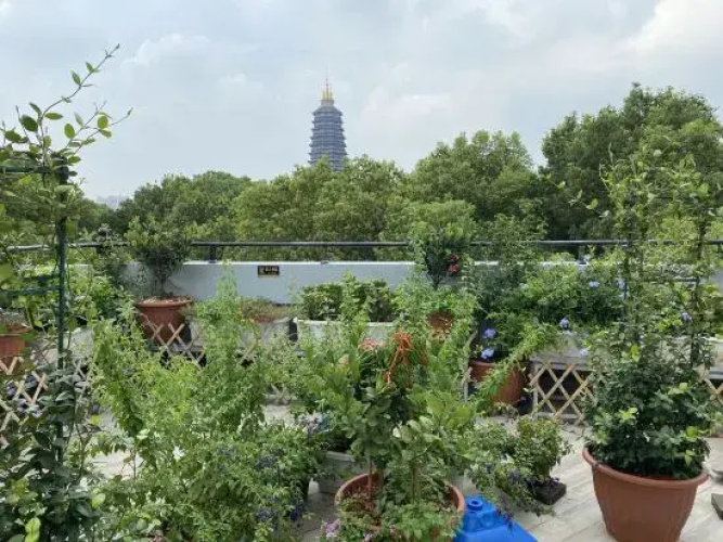Wenbi Hotel