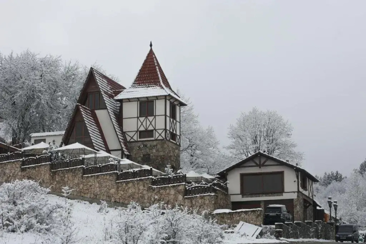 Hotel Alpine Castle
