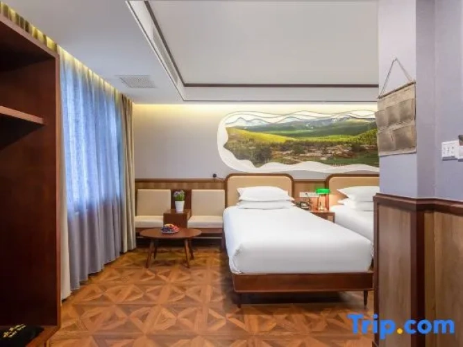 Standard Twin Family room