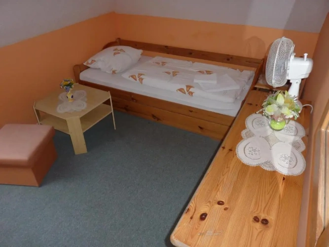 Standard Single room with view