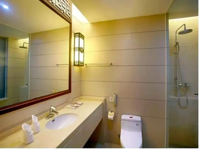 Business Double room with balcony
