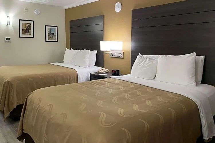 Sextuple Suite