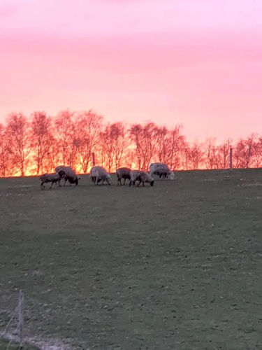 Lysbjerg - Tid til nydelse