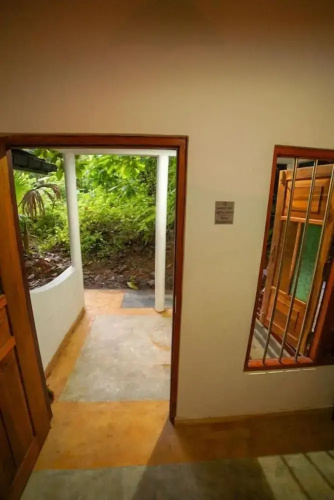 Jungle house