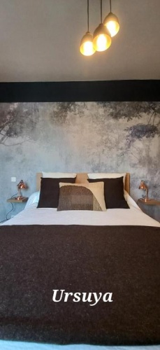Standard Double room with mountain view