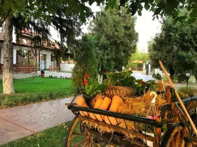 Casa Cu Nuc