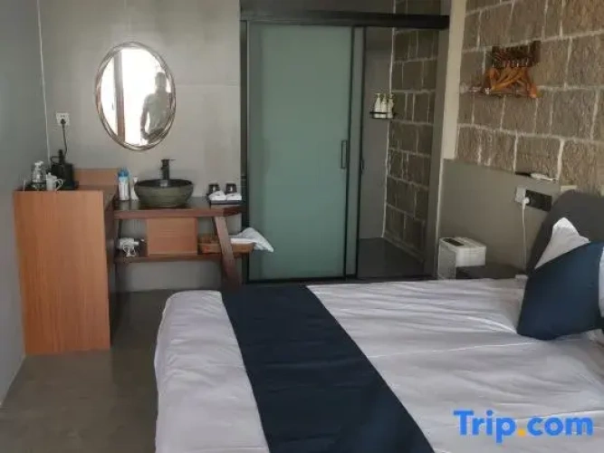 Standard Double room with sea view