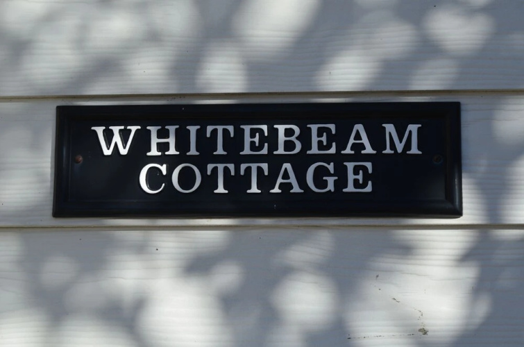 Whitebeam