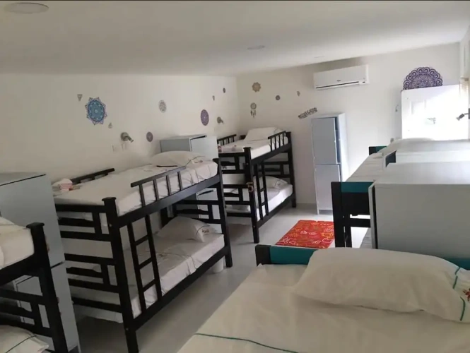 Bed in Dorm