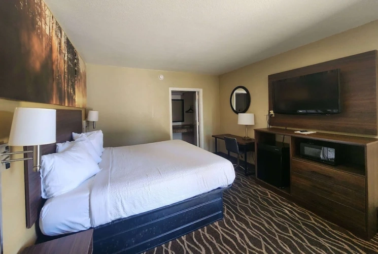 Accessible Double room