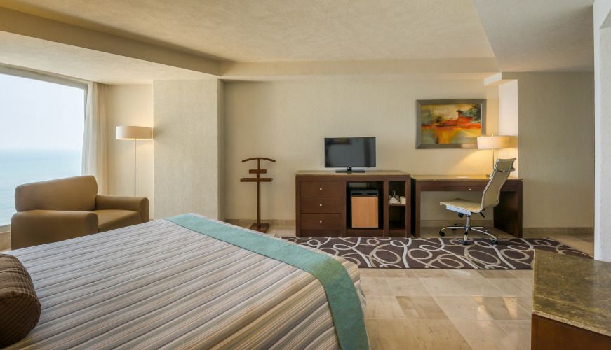 Camino Real VeracruzOver view