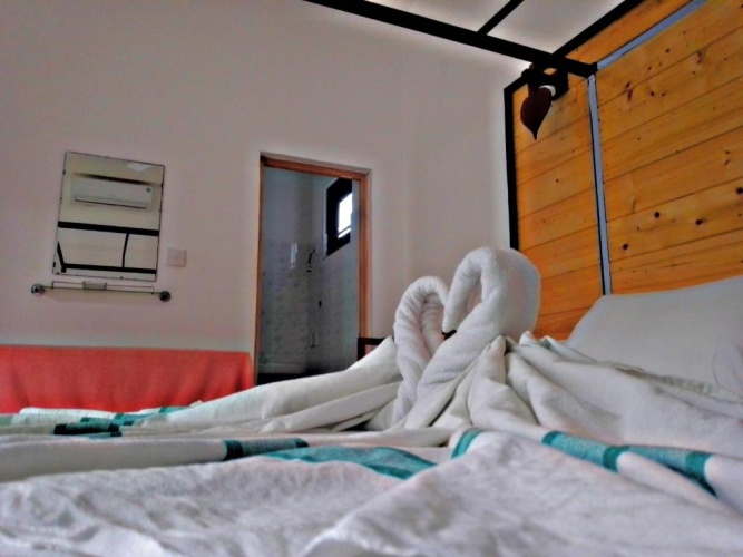 Standard Double room with garden view