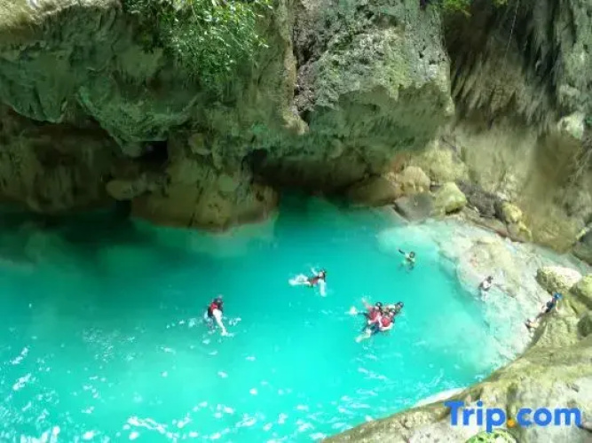 Treeshade Resort & Spa Moalboal