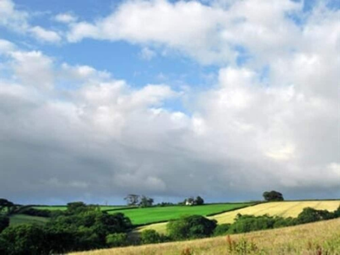 Dorset Farm