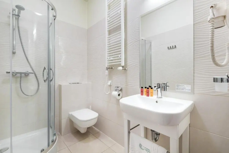 Deluxe Single room