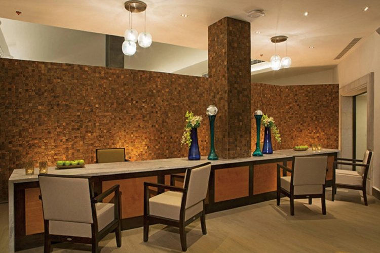 Dreams Los Cabos Suites Golf Resort and Spa photo 29