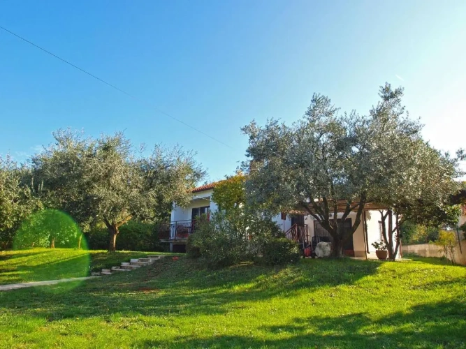 Cottage