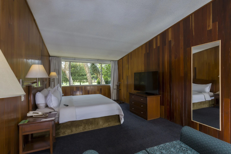 Gamma PachucaOver view