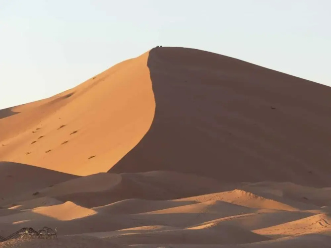 Moha Desert Camp