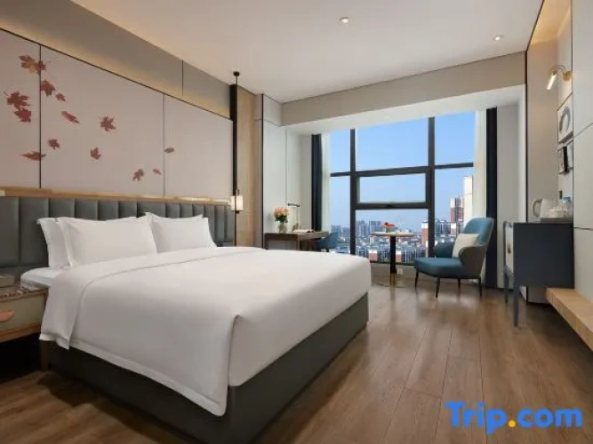 Standard Double room with city view