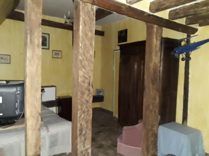 Standard Double room with garden view