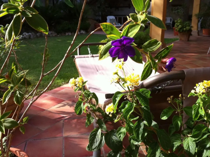 Villa Olga B&B