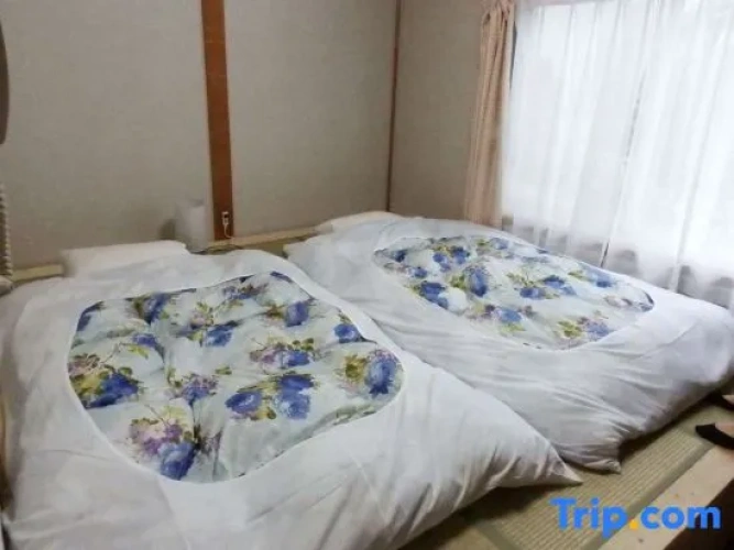 Standard room with mountain view