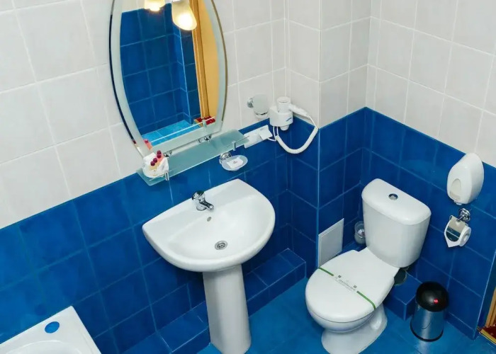 Фотография номера гостиницы Лермонтовский Отель