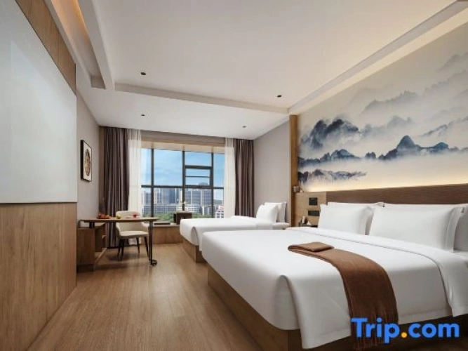 Standard Double room with city view