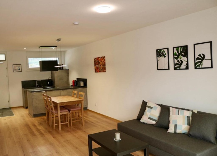 1 Bedroom Apartment