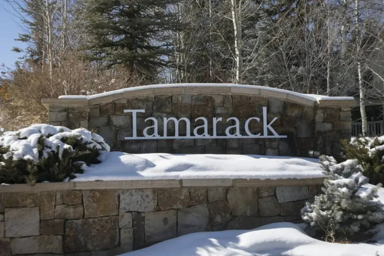 Tamarack Townhome #15