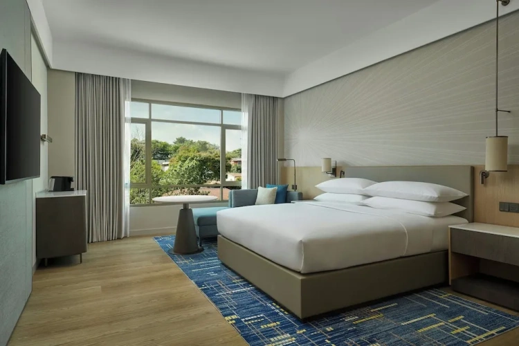 Deluxe Double room with city view