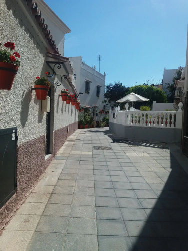 The Orange House