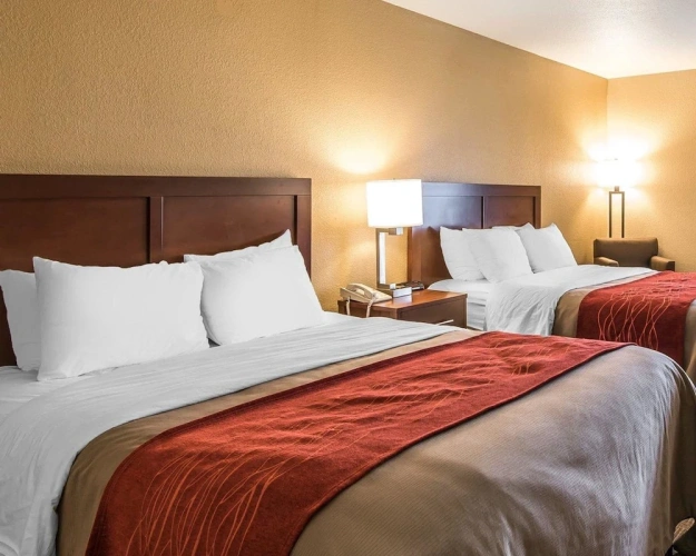 Standard Quadruple room