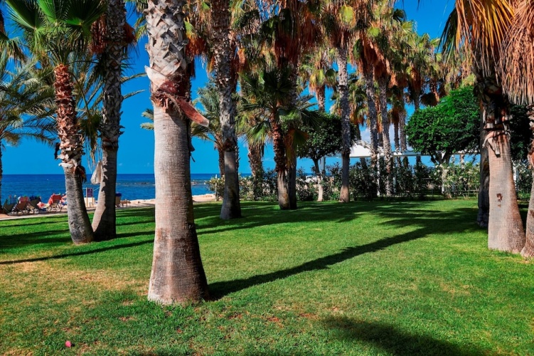 Louis Phaethon Beach Hotel photo 34
