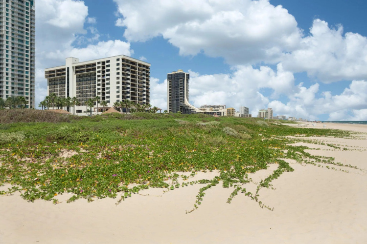 Margaritaville Beach Resort South Padre Island photo 20