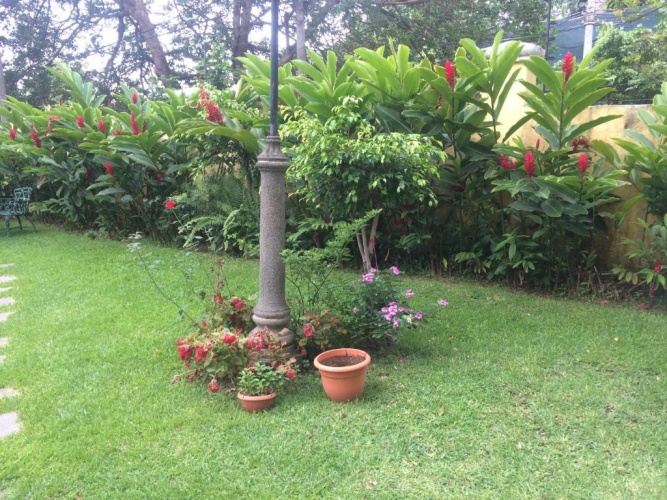 Outside