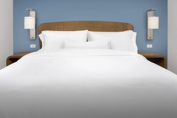 1 Bedroom Suite