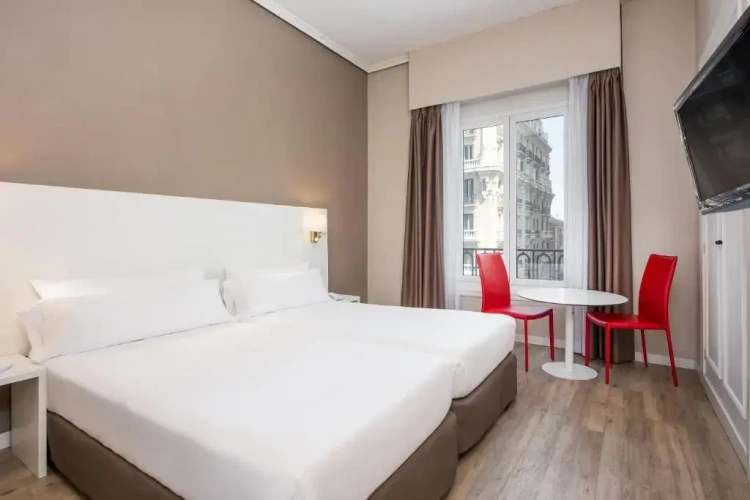 Standard Twin room with view