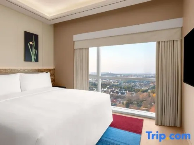 1 Bedroom Suite
