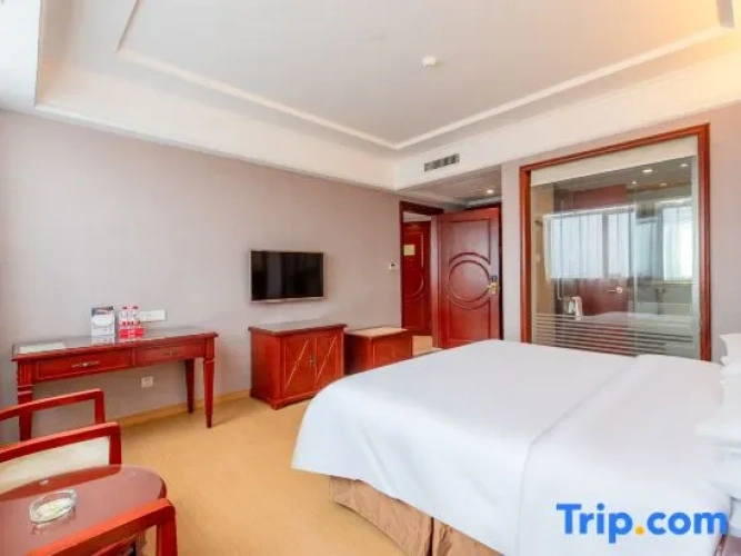 1 Bedroom Comfort Suite
