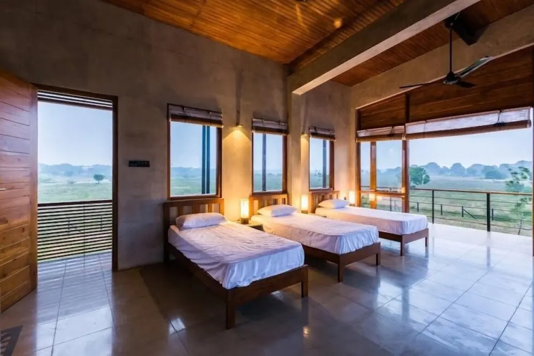 Tree Tops Yala
