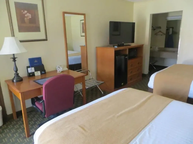 Standard Double room