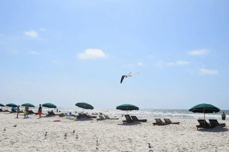 Beachview