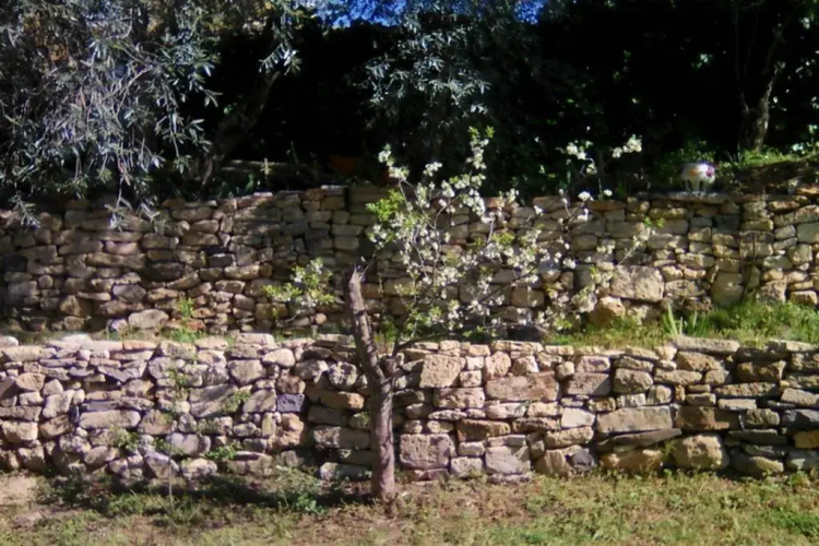 La Veneloise